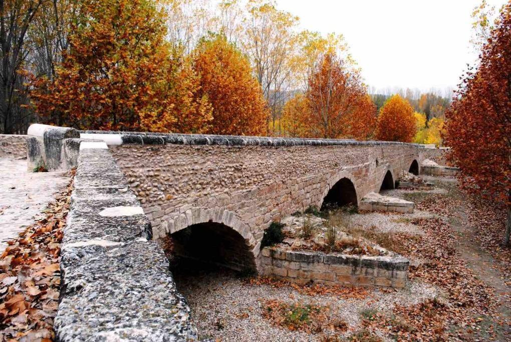 Eco Alojamiento La Cartuja De Talamanca Talamanca de Jarama Dış mekan fotoğraf